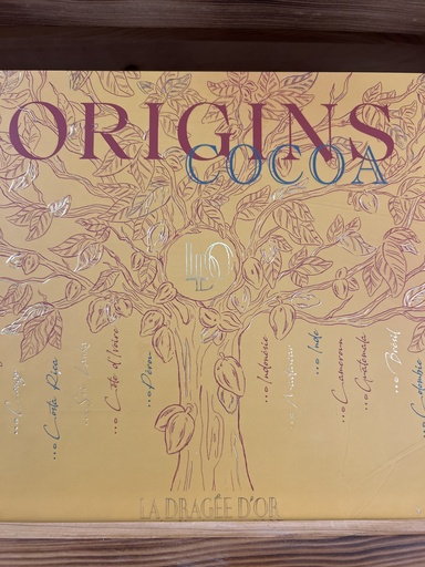 boites livres collection "Origins Cocoa garnies de chocolats L 600g